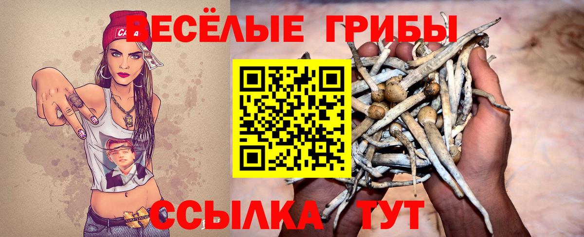 Галлюциногенные грибы Magic Shrooms  Галлюциногенные грибы мухоморы  Вход с VPN  Ростов Великий 